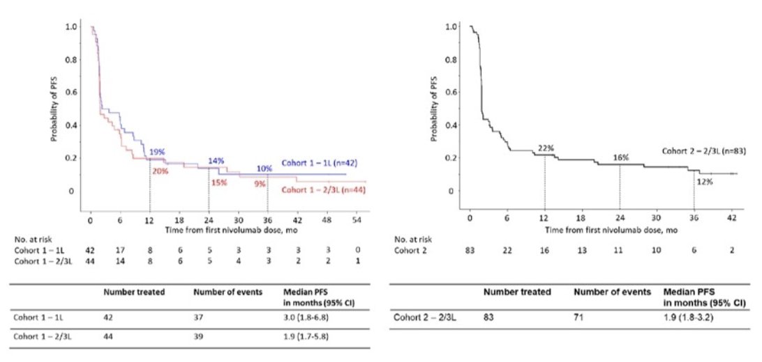 TITAN-TCC trial pfs