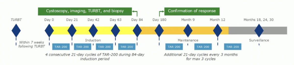 TAR-200-103 trial