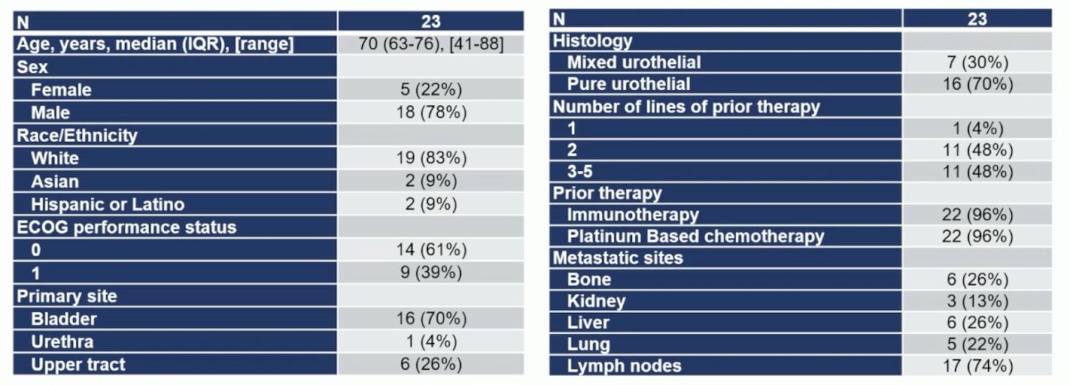 sacituzumab govitecan plus enfortumab vedotin characteristics