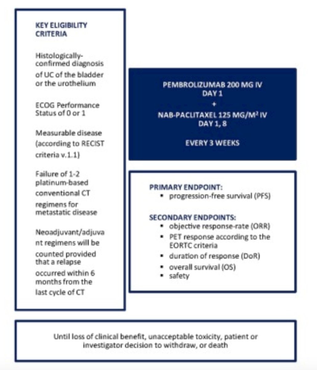 Pembrolizumab
