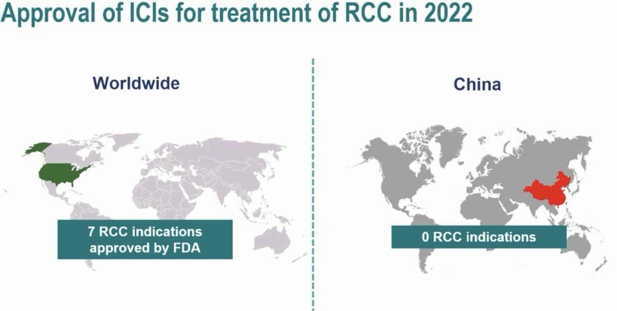 ICIs 2022 for rcc