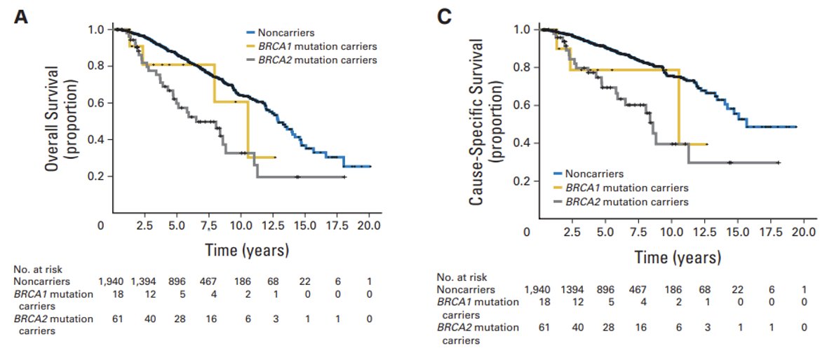 DNA repair gene mutations overall survival