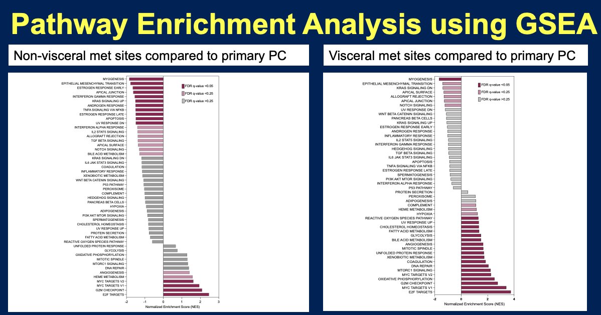 pathway enrichment analysis using GSEA
