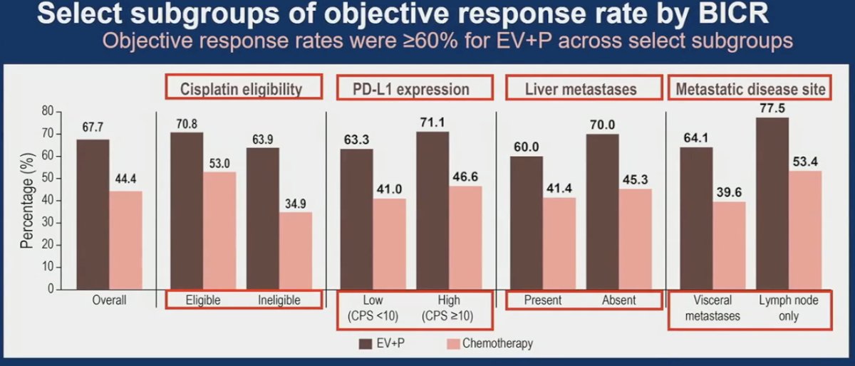 objective response rates were ≥60% for enfortumab vedotin + pembrolizumab