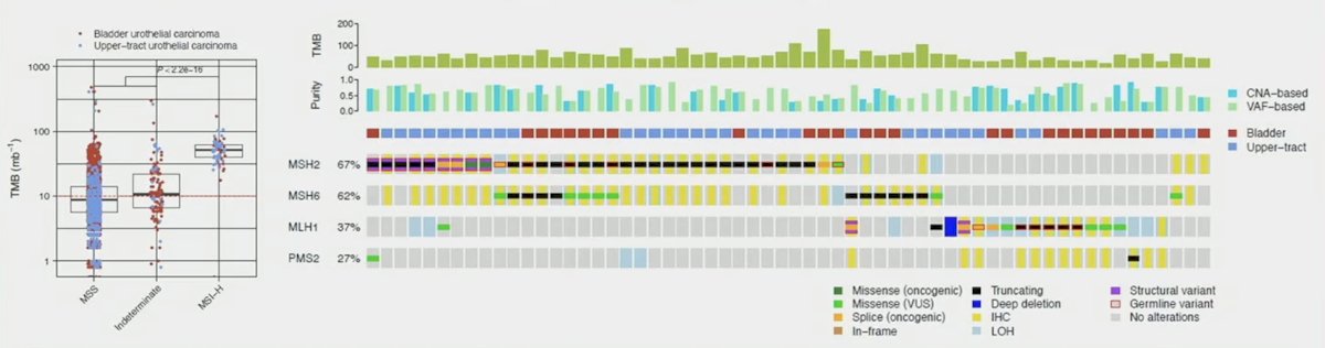germline mutations