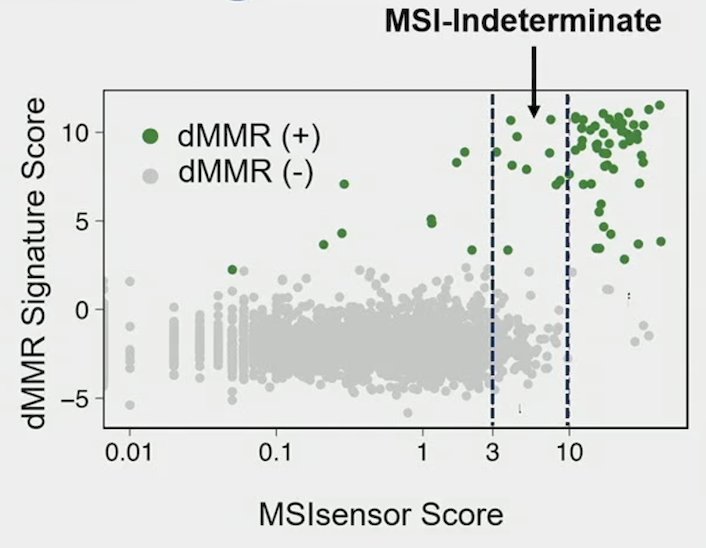 dMMR-dominant graph