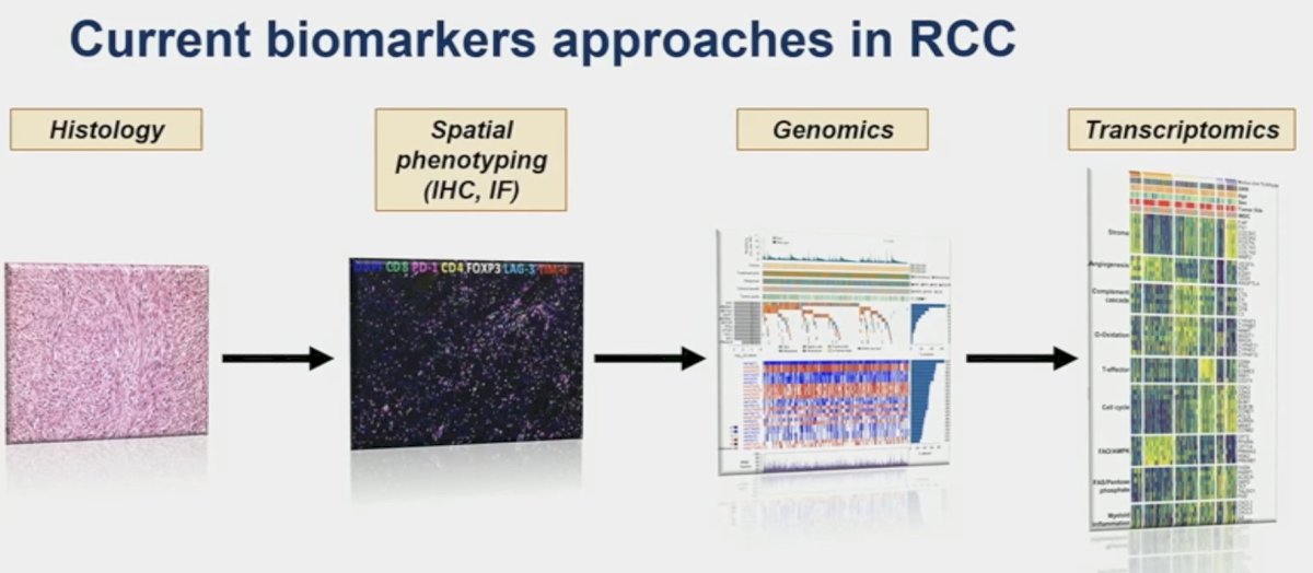 current biomarker approaches in RCC