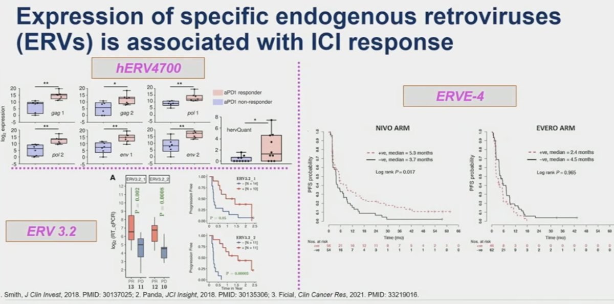 expression of specific endogenous retroviruses is associated with ICI response