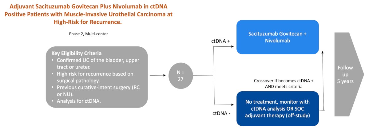 govitecan + nivolumab in ctDNA positive 