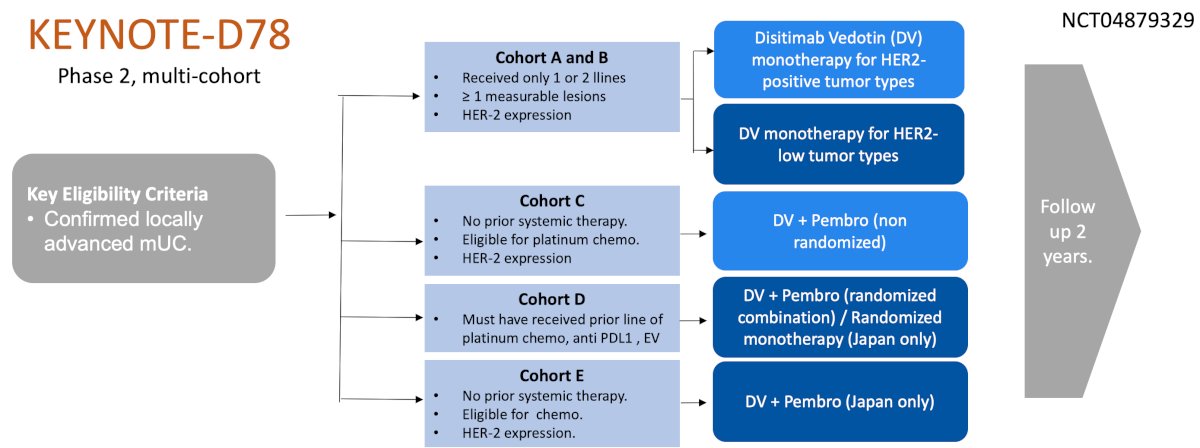 KEYNOTE-D78 trial