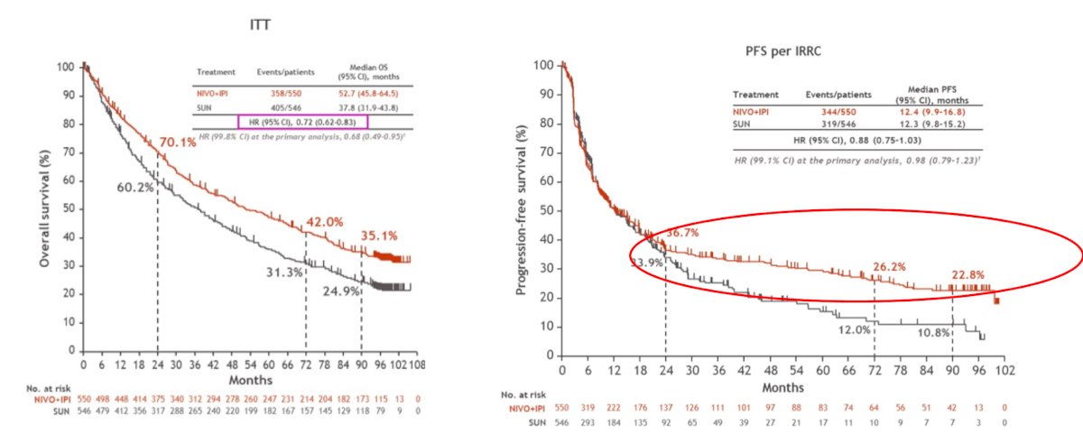 image-7.jpg