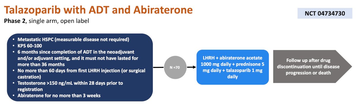 ADT + abiraterone + prednisone + talazoparib daily