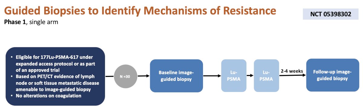 guided biopsy followed by Lu-PSMA and follow-up image guided biopsy