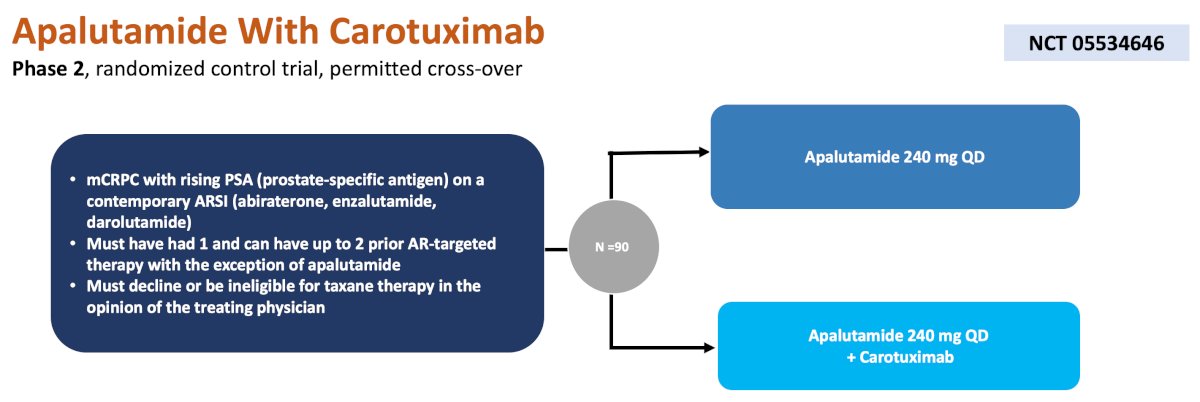 apalutamide daily + carotuximab