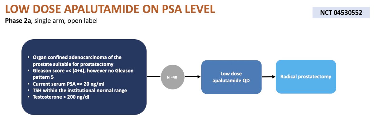 low dose daily apalutamide prior to radical prostatectomy