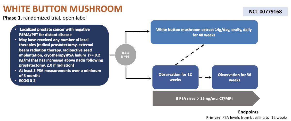 white button mushroom extract (Agaricus bisporus) trial for prostate cancer