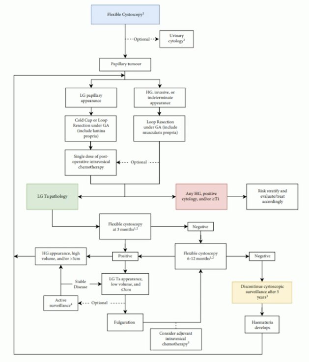 IBCG provides a contemporary update and recommendations for the diagnosis and management of low-grade NMIBC