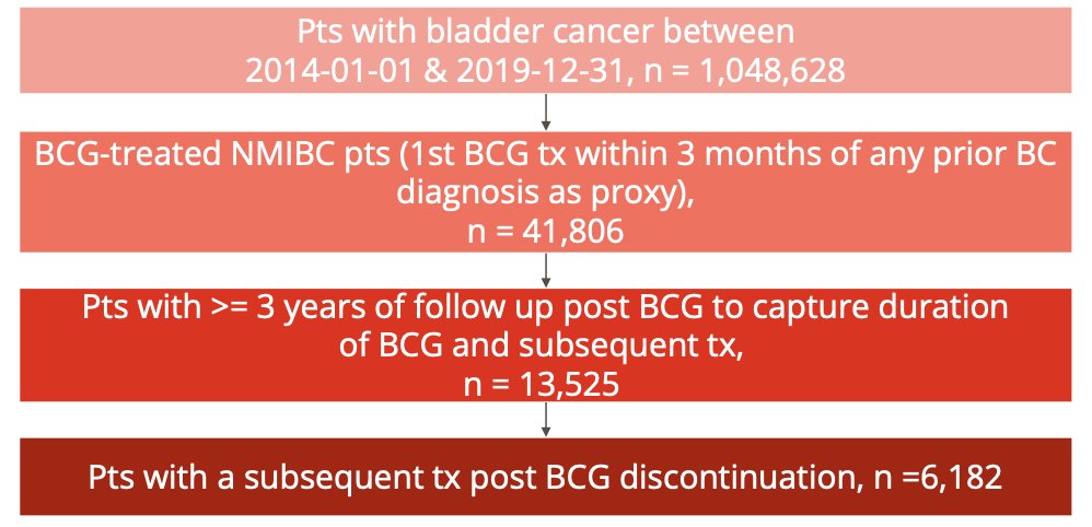 analysis was conducted to evaluate BCG treatment patterns and characterize subsequent therapy post BCG population