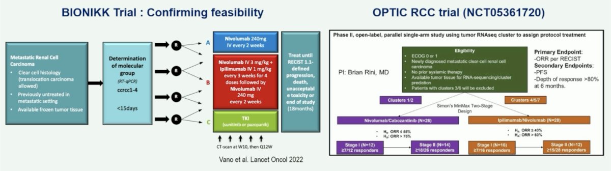 BIONIKK and OPTIC RCC clinical trials