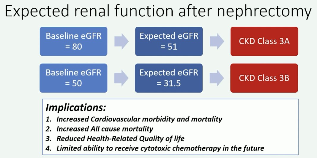 kidney function following radical cystectomy