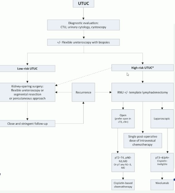 current EAU guidelines, it is recommended that this patient undergo a radical nephroureterectomy, with conservative therapy a secondary consideration