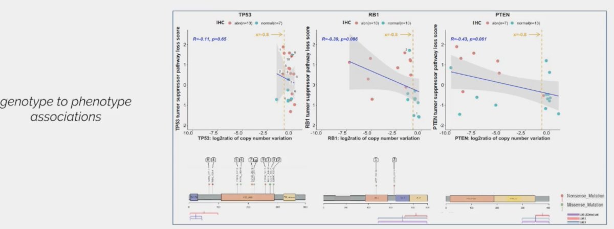TP53, RB1, and PTEN mutations are linked to poor prognoses, both individually and when combined together