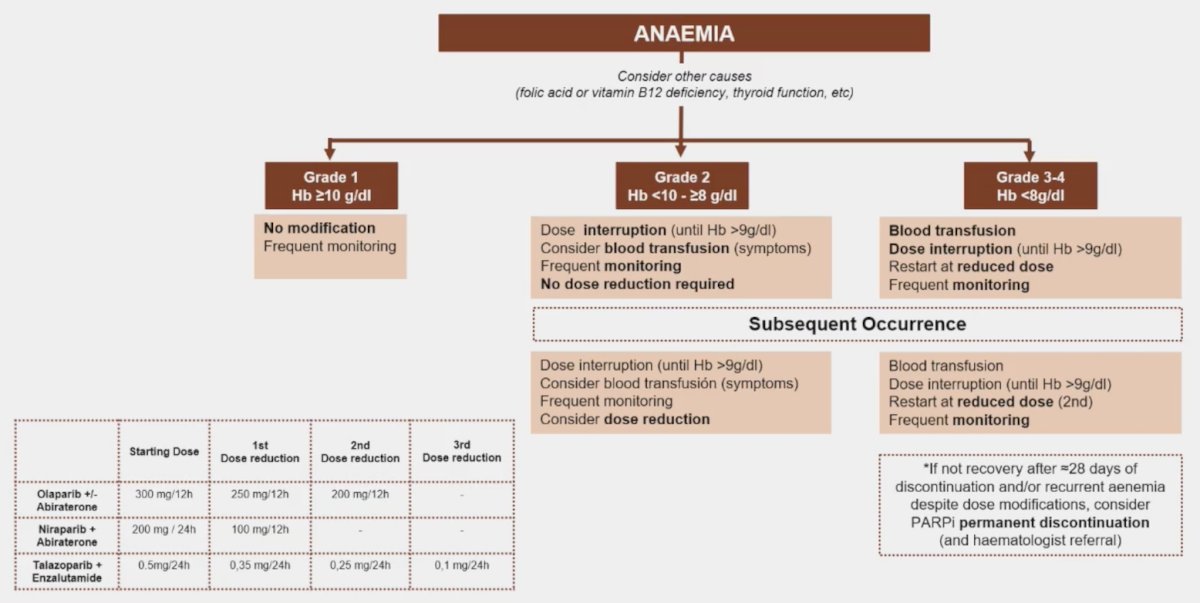 PARP inhibitor treatment algorithm also highlights the management for subsequent occurences