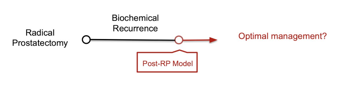 developing a novel prognostic biomarker for patients with biochemical recurrence post-radical prostatectomy using multimodal deep learning on digital histopathology.