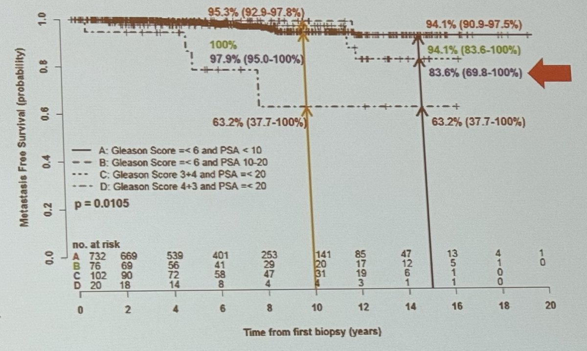 extended follow-up of patients with intermediate-risk PCa managed with active surveillance 
