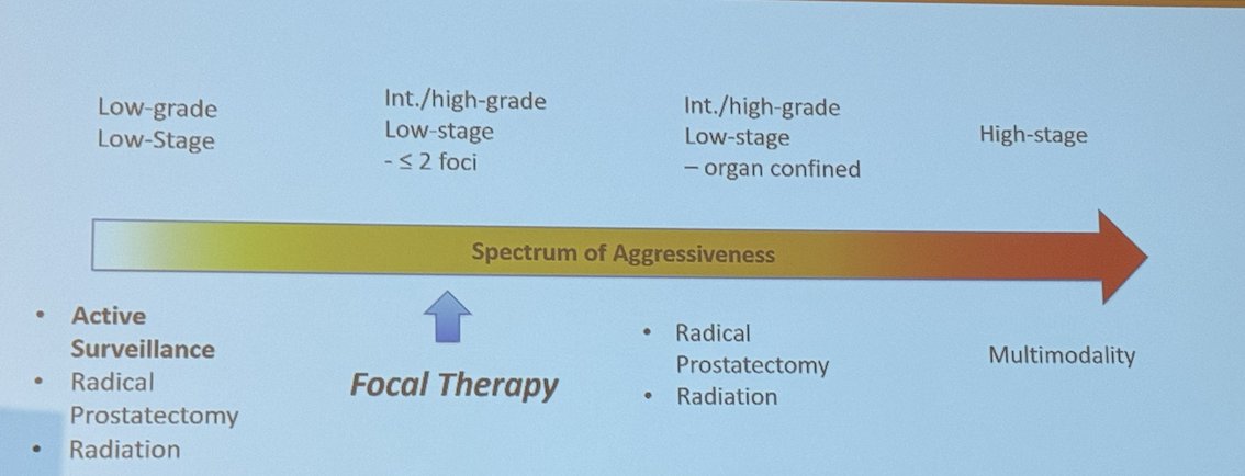 spectrum of aggressiveness