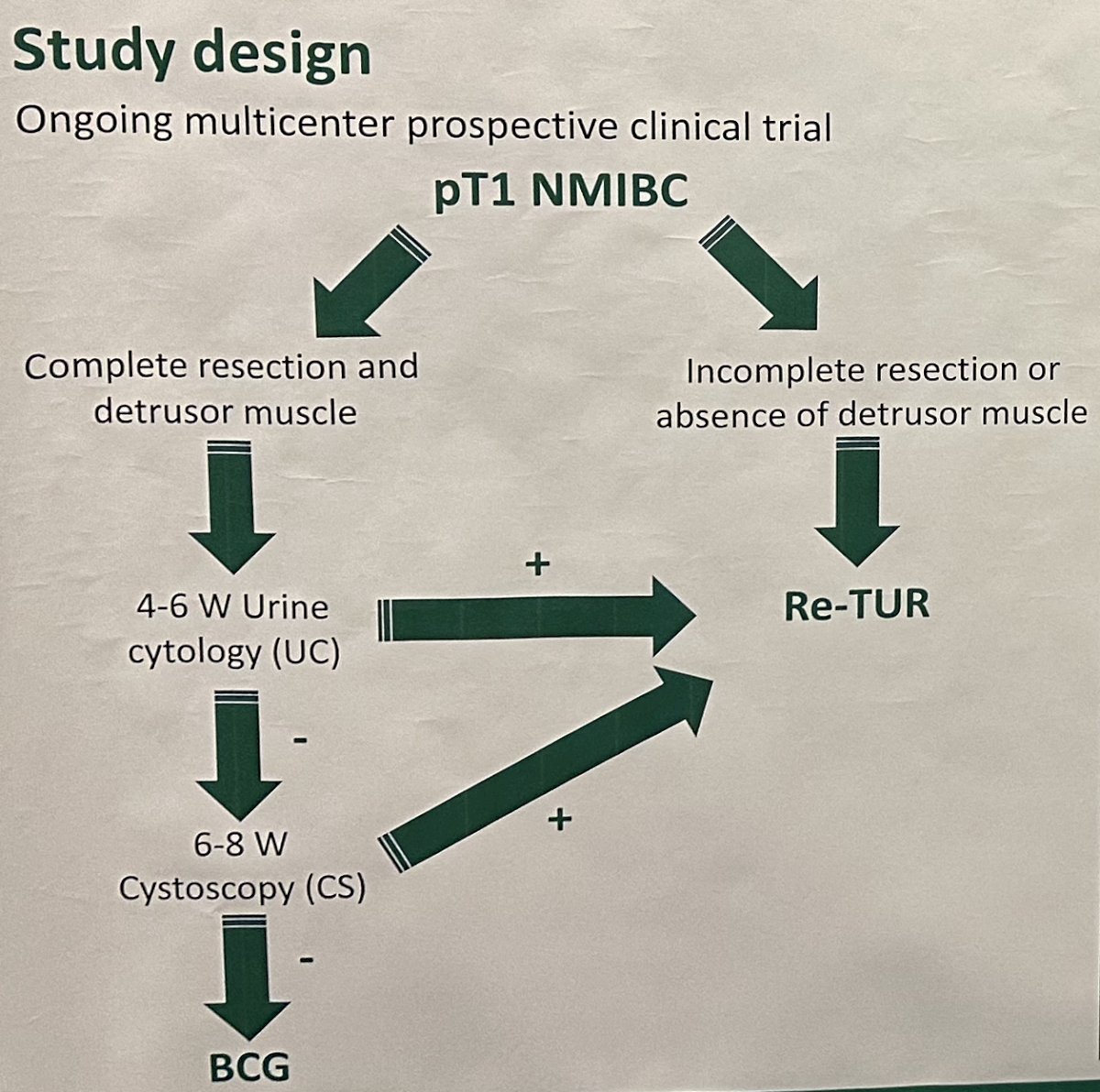 HuNIRe trial study design