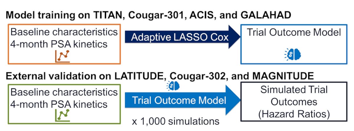 The algorithm was provided with 4-month PSA kinetics, baseline characteristics, and the trial outcome model