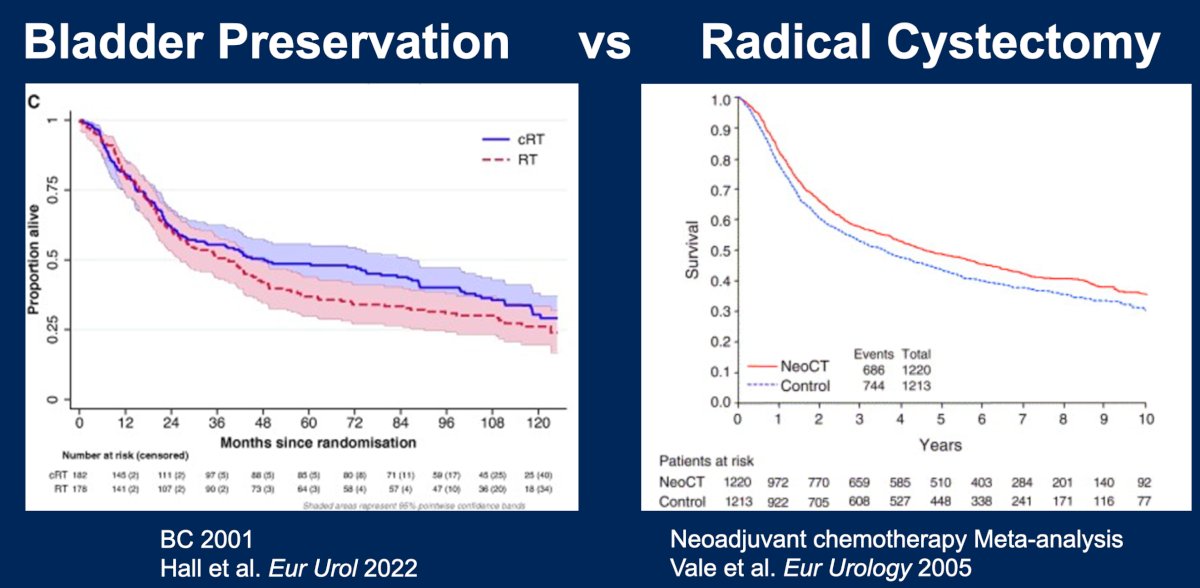 the Kaplan-Meier survival curves for bladder preservation compared to neoadjuvant chemotherapy followed by radical cystectomy appear similar
