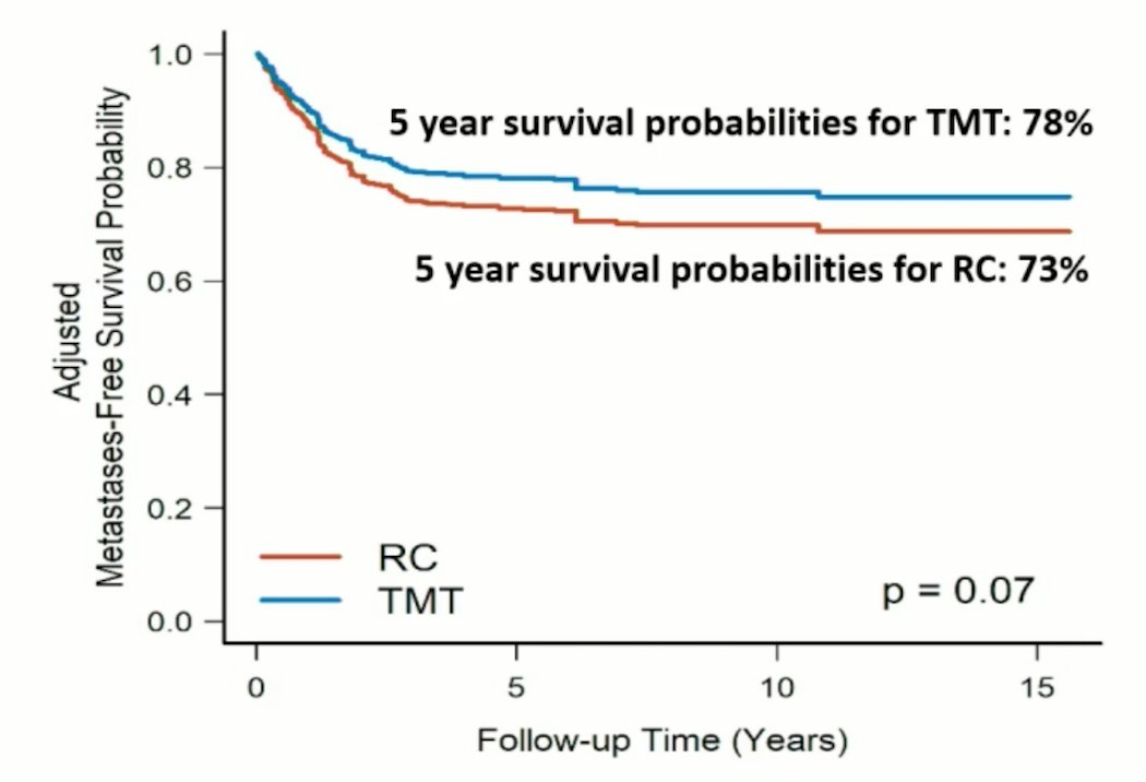  5 years survival probabilities
