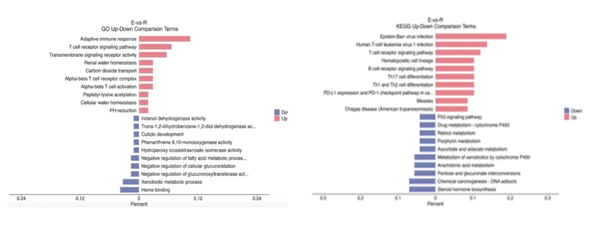 Analysis using Gene Ontology enrichment and Kyoto Encyclopedia of Genes and Genomes pathway demonstrated that the responsive group was associated with activated biological processes, including T cell receptor signaling pathway, alpha-beta T cell activation, and adaptive immune response