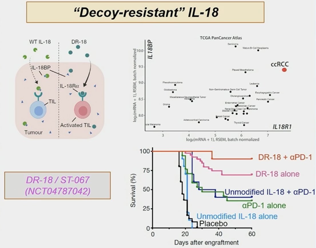 “Decoy-resistant” IL-18 can avoid trapping by IL-18BP, while maintaining immune signaling potential