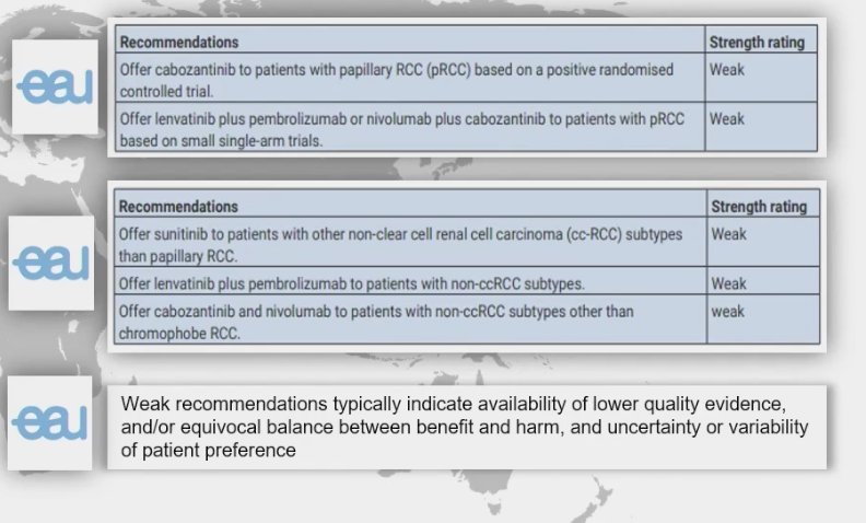 Cabozantinib stands out as a prominent option. However, upon reviewing the European Association of Urology (EAU) RCC guidelines, both Cabozantinib and sunitinib receive only a weak recommendation