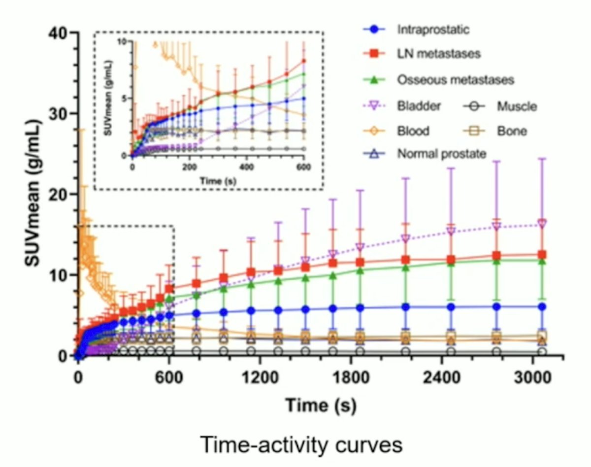 All tumors reached a plateau uptake in the following 30-60 minutes, and the bladder began to accumulate slowly after 4 minutes post-injection and was higher than the uptake intraprostatic after 10 minutes