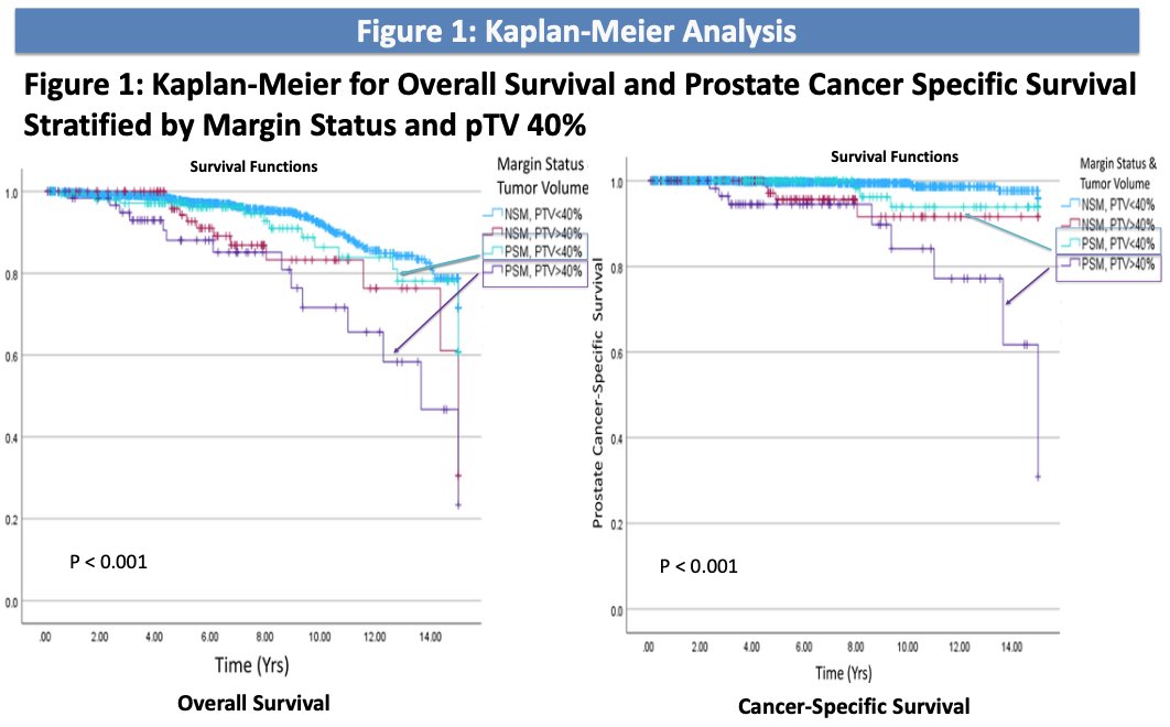 patients with a pTV below 40%, the presence of PSMs did not significantly affect long-term mortality, suggesting that pTV might be a more critical factor in predicting patient outcomes than PSMs alone
