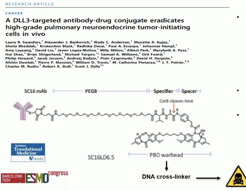pre-clinical activity and early phase clinical activity in small cell lung cancer. However, Rova-T failed in two phase III trials (MERU and TAHOE), with efficacy limited and high toxicity