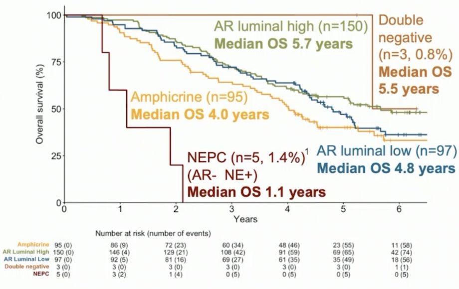 No significant difference for radiographic progression-free survival or overall survival was found between these 5 subgroups but a trend from AR-high luminal (better prognosis) to neuroendocrine prostate cancer (worse prognosis), mainly driven by the neuroendocrine status