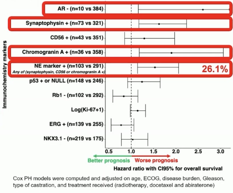 ERG-positive patients had a longer radiographic progression-free survival (HR 0.71, 95% CI 0.53-0.94, p = 0.019)