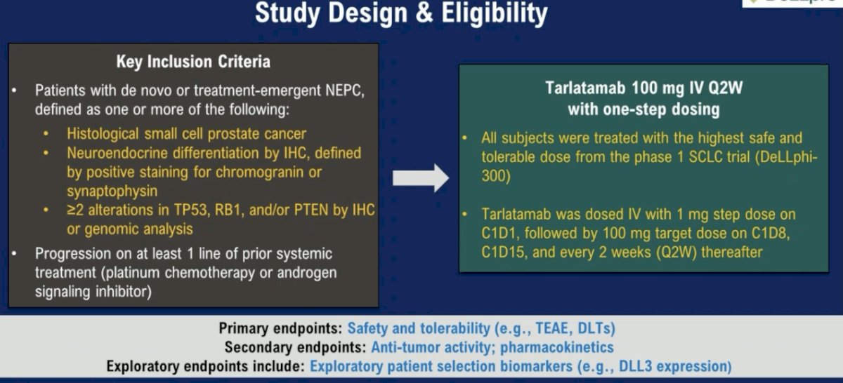  DLL3-targeting bi-specific T cell engager, tarlatamab, was evaluated in a phase I trial of neuroendocrine prostate cancer