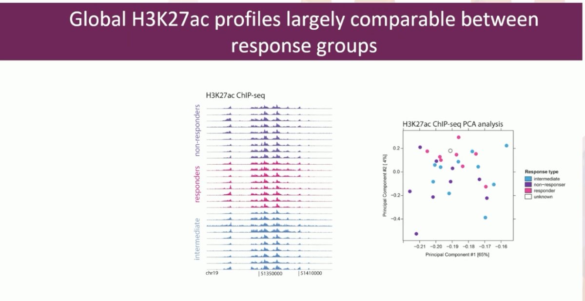 Epigenetic profiling demonstrated that the global H3K27ac profiles demarcating active promoters and enhancers were largely comparable between the response groups