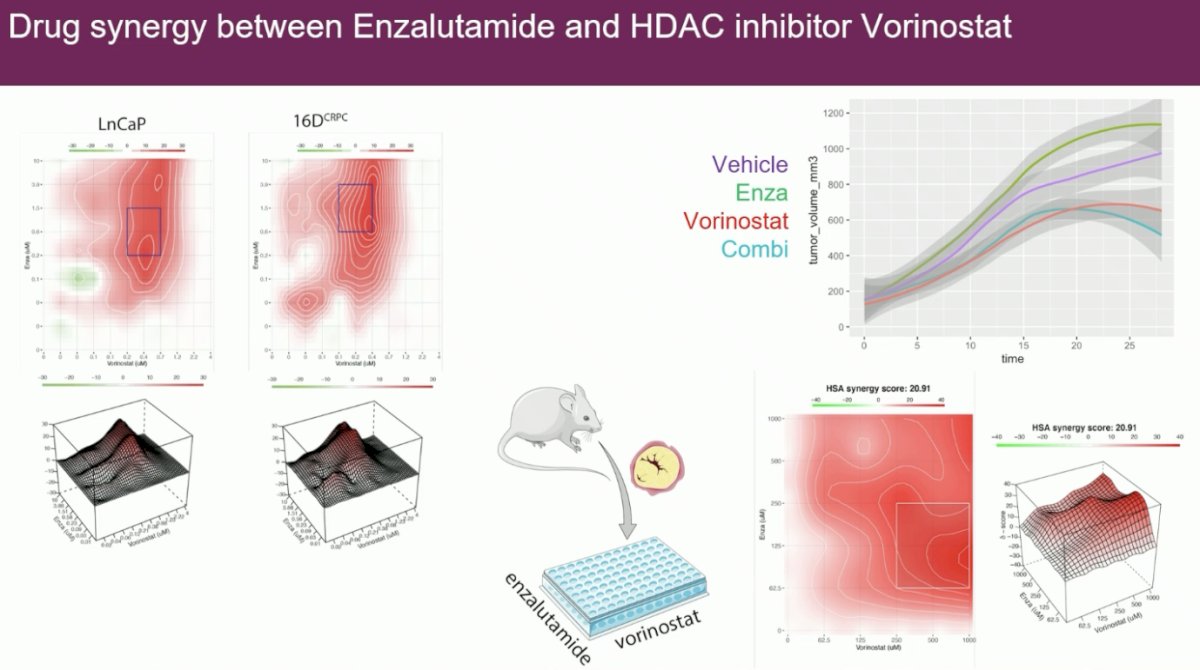 One of these targetable proteins is HDAC3. Promisingly, there appears to be drug synergy between enzalutamide and the HDAC inhibitor, vorinostat.  &nbsp;