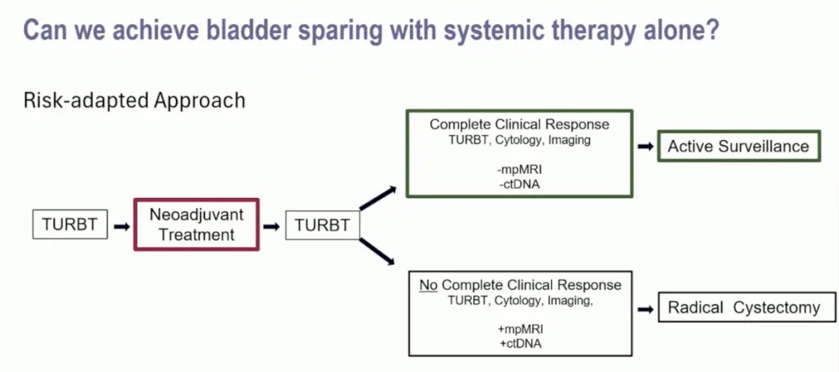 achieve bladder sparing with systemic therapy alone using a risk adapted approach