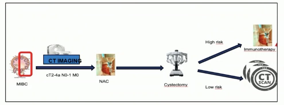 current standard approach to muscle invasive bladder cancer is neoadjuvant chemotherapy followed by radical cystectomy followed by adjuvant immunotherapy for high risk patients, and surveillance for low risk patients
