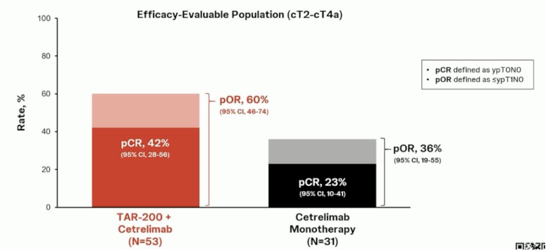 corresponding proportions in the cetrelimab monotherapy arm were 23% and 36%