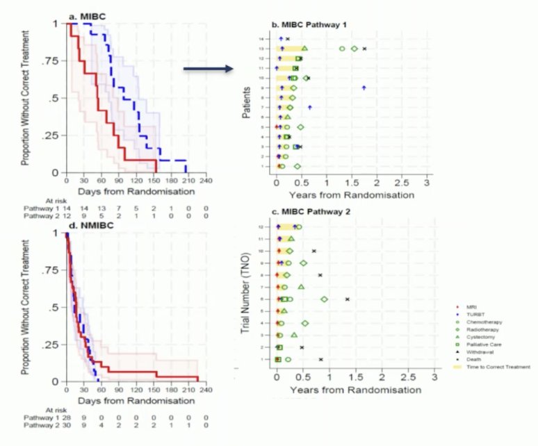 median time to correct muscle invasive bladder cancer treatment was 98 (95% CI 72-174) days for patients in the traditional Pathway 1 and 53 (95% CI 20-89) days for patients in Pathway 2 (p = 0.0046).