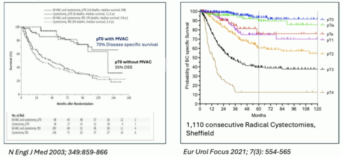 Assessing response is crucial as it has shown to portend outcomes, whether in RCTs or observation/single center studies